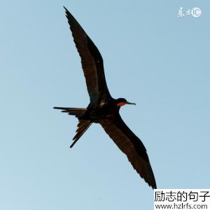 经典语录：长得漂亮是优势，活得漂亮是本事